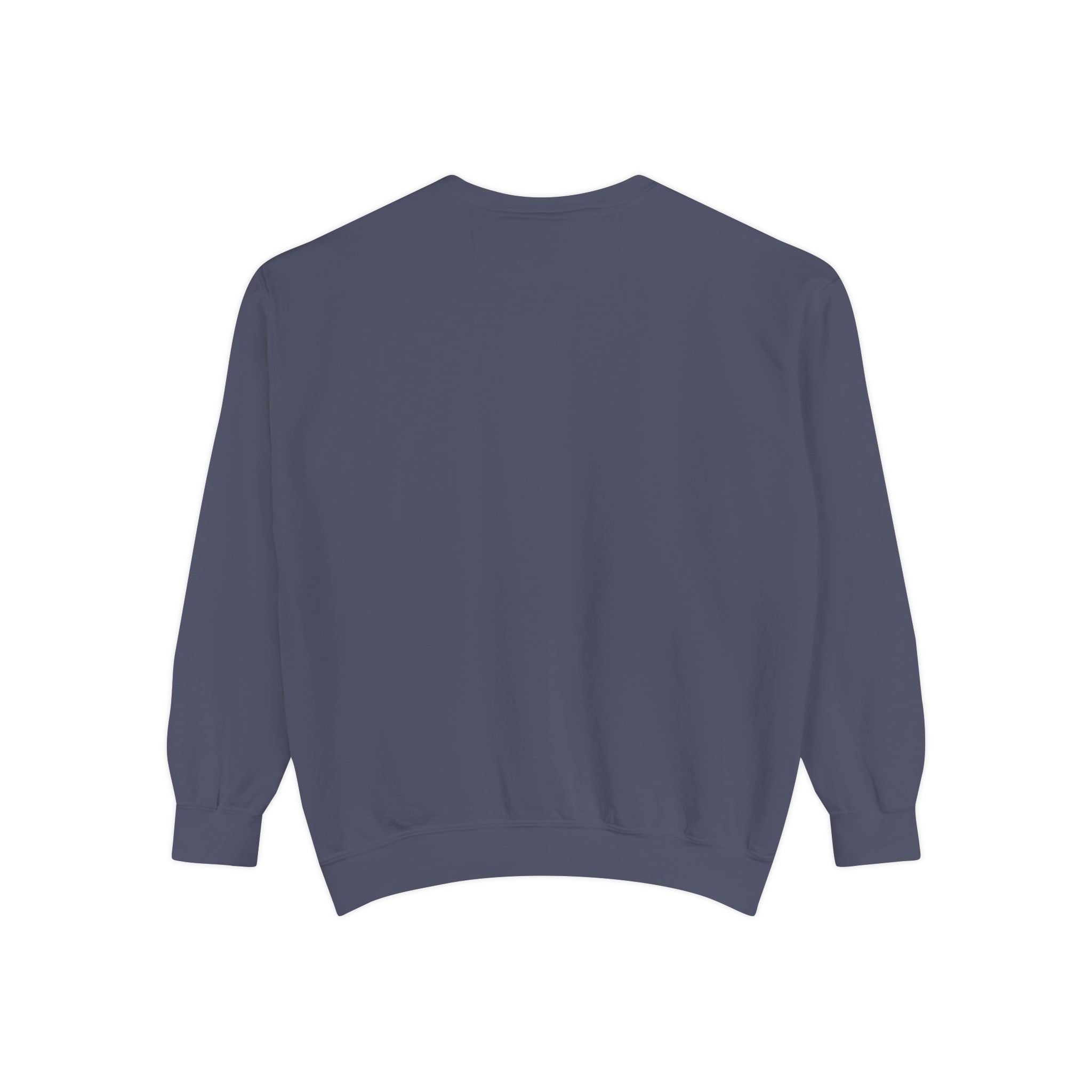 Black Embroidered Sweatshirt - Denim - Back