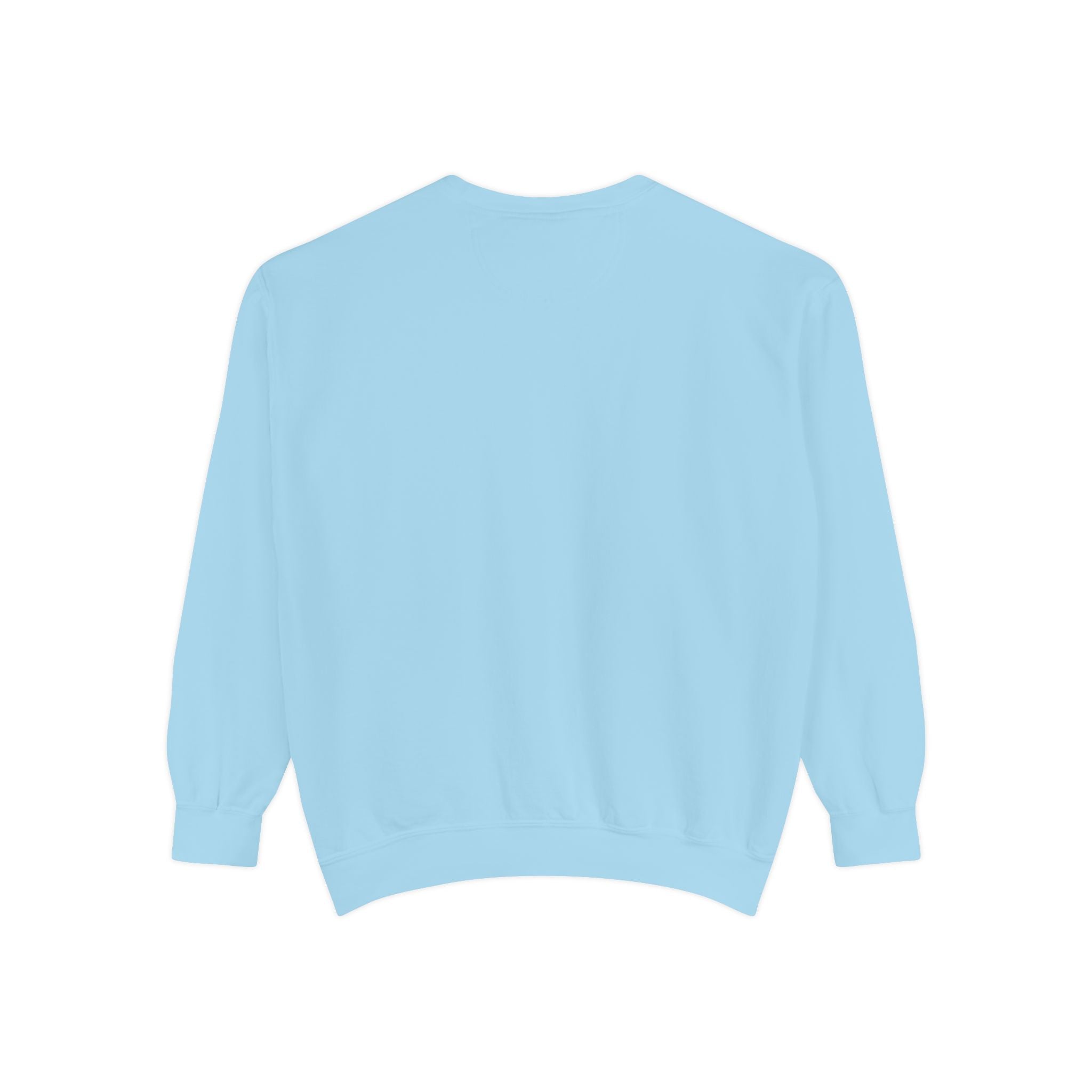 Black Embroidered Sweatshirt - Chambray - Back