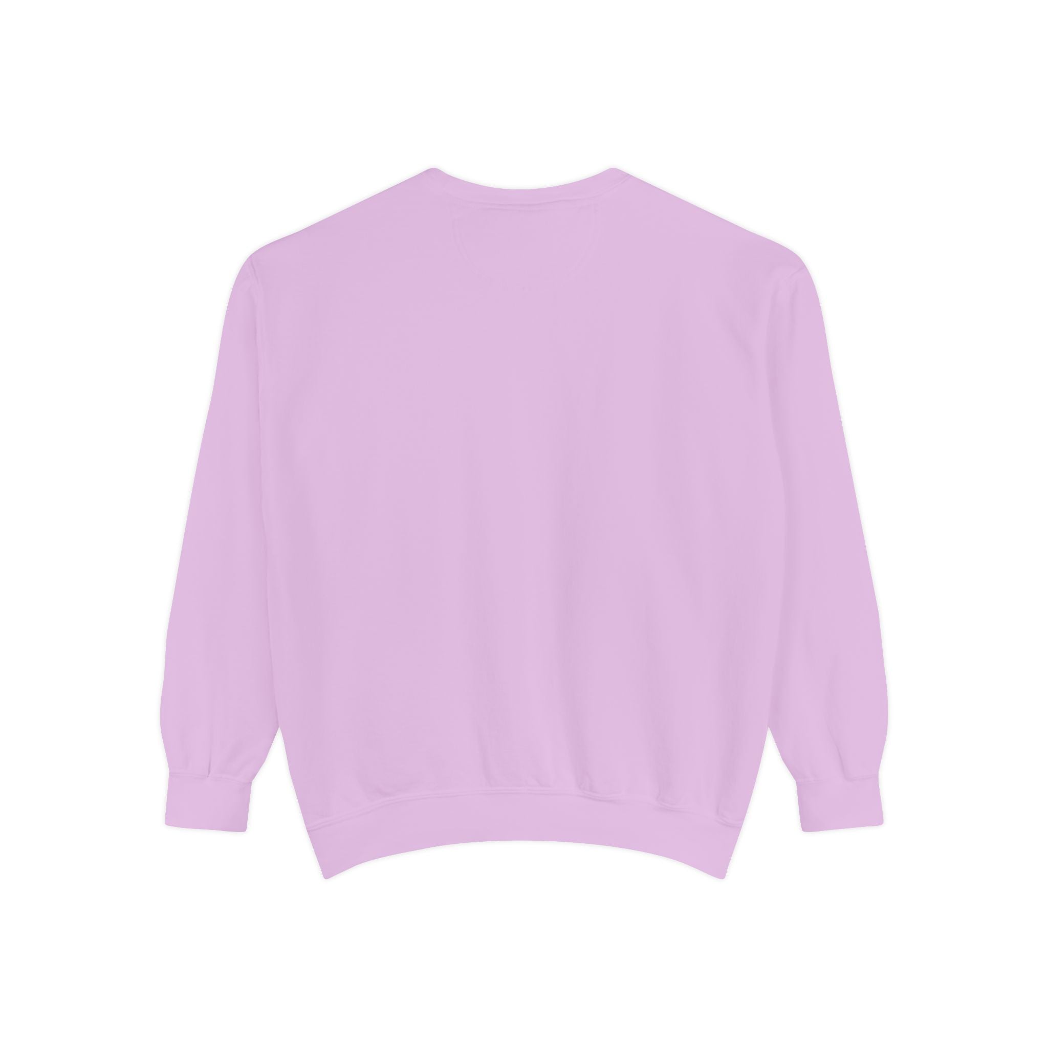 Black Embroidered Sweatshirt - Orchid - Back